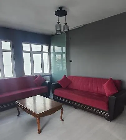 Insaat Ticaret Ve Sanayi Limited Sirketi *