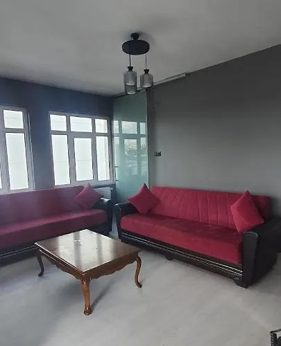 Insaat Ticaret Ve Sanayi Limited Sirketi *